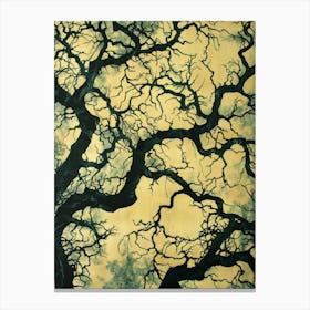 Oak Tree Canvas Print