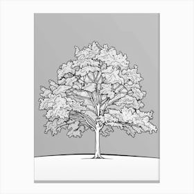 Walnut Tree Minimalistic Drawing 1 Canvas Print