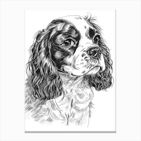 Cavalier King Charles Dog Line Sketch Canvas Print