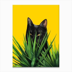 Black Cat In Leaves Canvas Print