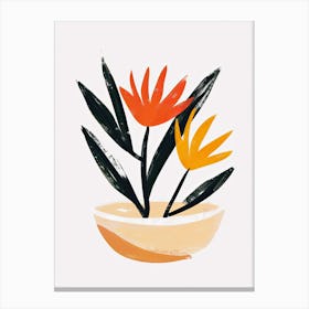 Bird Of Paradise Canvas Print