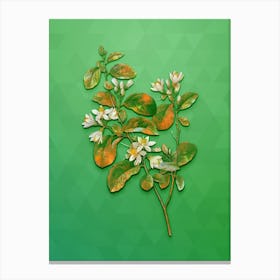 Vintage Snowdrop Bush Botanical Art on Classic Green n.2055 Canvas Print