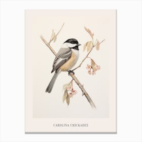 Vintage Bird Drawing Carolina Chickadee 3 Poster Canvas Print