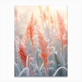 Frosty Botanical Heliconia 1 Canvas Print