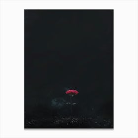 Single Rose In The Dark Canvas Print