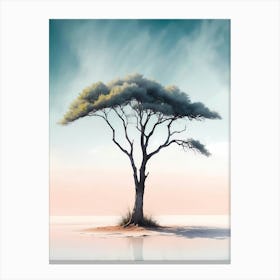 Acacia Tree 1 Canvas Print