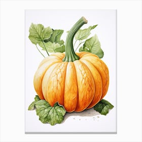Turban Squash Pumpkin Watercolour Illustration 2 Canvas Print