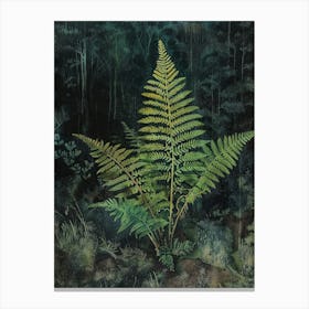 Australian Tree Fern Painting 2 Canvas Print