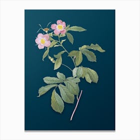 Vintage Pink Alpine Roses Botanical Art on Teal Blue n.0350 Canvas Print