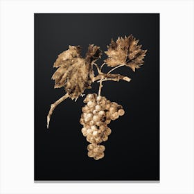 Gold Botanical Grape Vine on Wrought Iron Black n.0739 Canvas Print