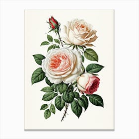 Vintage Galleria Style Rose Art Painting 29 Canvas Print