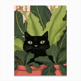 Black Cat And House Plants 14 Canvas Print
