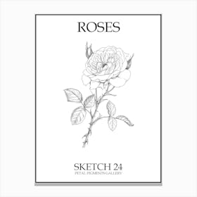 Roses Sketch 24 Poster Canvas Print