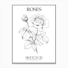 Roses Sketch 20 Poster Canvas Print