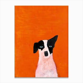 Jack Russell Dog Canvas Print