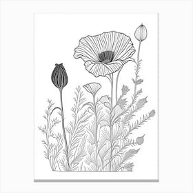 Poppy Herb William Morris Inspired Line Drawing 1 Canvas Print