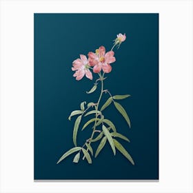 Vintage Peach Leaved Rose Botanical Art on Teal Blue Canvas Print