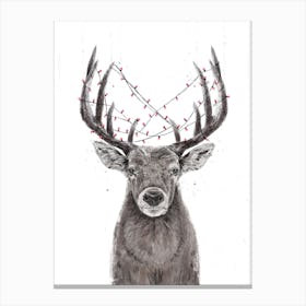 Xmas Deer Ii Canvas Print