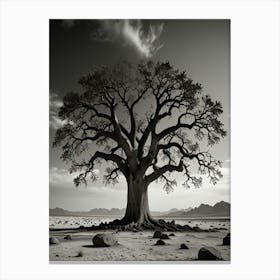 Namibia Tree Canvas Print