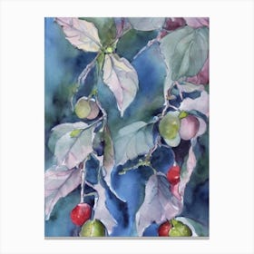 Gooseberry 2 Classic Fruit Canvas Print