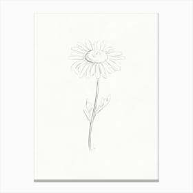 Daisy Pencil Drawing 1 Canvas Print