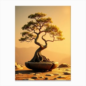 Bonsai Tree 9 Canvas Print