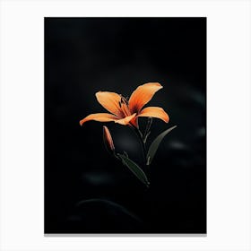 Orange Lily 2 Canvas Print