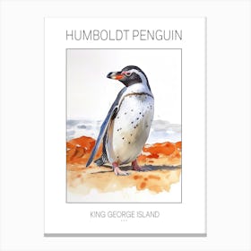 Humboldt Penguin King George Island Watercolour Painting 4 Poster Canvas Print