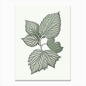 Raspberry Leaf Herb William Morris Inspired Line Drawing 2 Canvas Print