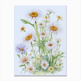 White Daisies Flowers Canvas Print
