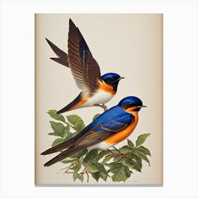 Barn Swallow James Audubon Vintage Style Bird Canvas Print