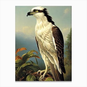 Osprey Haeckel Style Vintage Illustration Bird Canvas Print
