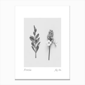 Freesia Botanical Collage 4 Canvas Print