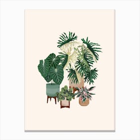 Plant Friends 11 Canvas Print