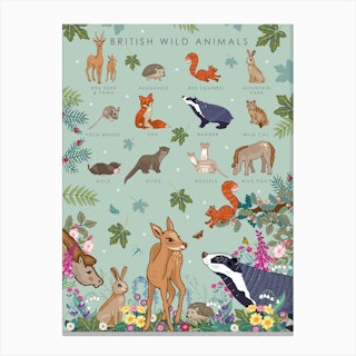 British Wild Animals Canvas Print