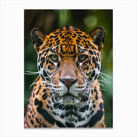 Jaguar Canvas Print