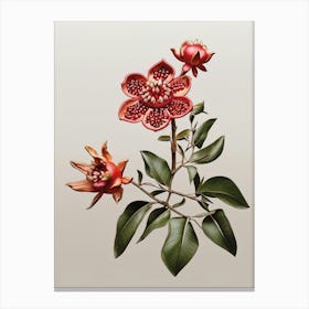 Beautiful Pomegranate Floral Canvas Print