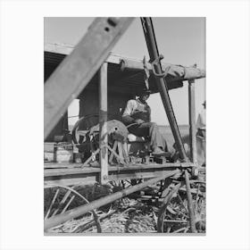 Untitled Photo, Possibly Related To Loading Sugarcane, Louisiana By Russell Lee Canvas Print