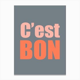 Cest Bon Grey And Pink Canvas Print