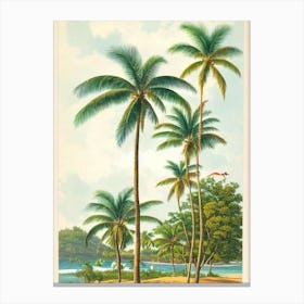 Crane Beach Barbados Vintage Canvas Print