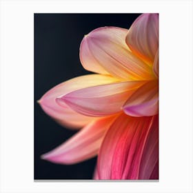 Orange Flower 10 Canvas Print