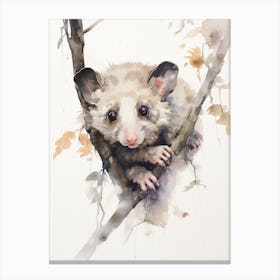 Light Watercolor Painting Of A Hanging Possum 2 Canvas Print