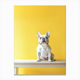 French Bulldog Sitting On A Table.Generated AI. Wall Art Print Canvas Print