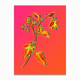 Neon Bittersweet Botanical in Hot Pink and Electric Blue n.0113 Canvas Print