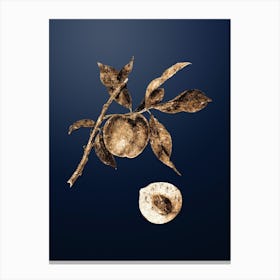 Gold Botanical Peach on Midnight Navy n.4015 Canvas Print