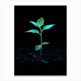 Young Green Plant In The Dark Canvas Print