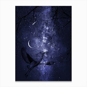 Heron In The Sky - Starry Night and Moon #4 Canvas Print