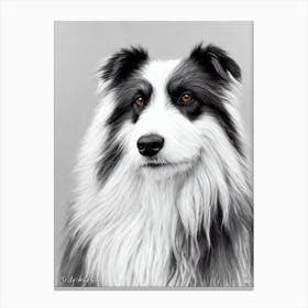 Polish Lowland Sheepdog B&W Pencil dog Canvas Print