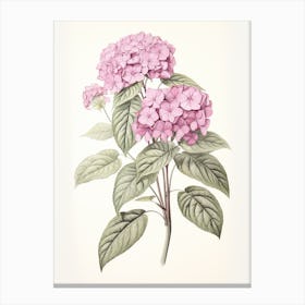 Ajisai Hydrangea 1 Vintage Japanese Botanical Canvas Print