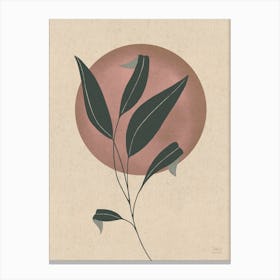 Pointy Leafs In The Sunset, Darkred Canvas Print